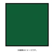 P004 [Pシリーズ 全面カラーフィルター グリーン 000047]