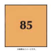 P029 [Pシリーズ 全面カラーフィルター オレンジ85A 000160]