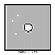 P061 [Pシリーズ センタースポットフィルター SCホワイト2 000351]