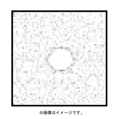 P071 [Pシリーズ センタースポットフィルター SCホワイト2(広角用） 000443]