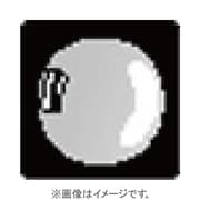 P101 [Pシリーズ 光学効果フィルター クローズアップ+1 001389]