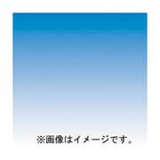 P123 [Pシリーズ ハーフグラデーションフィルター ブルー2 000641]