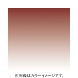 P125F [Pシリーズ ハーフグラデーションフィルター フルタバコ2 001624]
