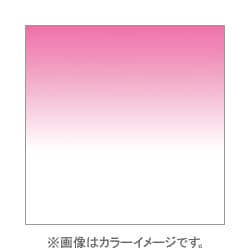 P670 [Pシリーズ ハーフグラデーションフィルター フルーピンク1 001259]
