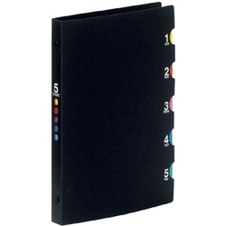 プラスチックバインダー ファイルノート ファイブチャート A5 20穴 F401