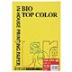 バイオトップカラー 両面 プリンター用紙 マスタード 120g/m2 A4 50枚 BT329