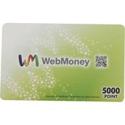 WEB MONEY 5000 [ウェブマネー 5000]