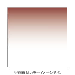 X125L [X-PROシリーズ ハーフグラデーションフィルター タバコ2ライト 500509]