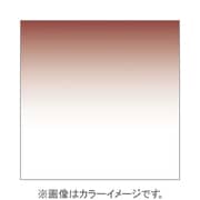 X125L [X-PROシリーズ ハーフグラデーションフィルター タバコ2ライト 500509]