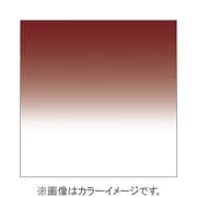 X125S [X-PROシリーズ ハーフグラデーションフィルター ソフトタバコ2 500516]