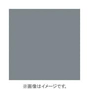 X153 [X-PROシリーズ NDフィルター ND4 500561]