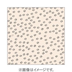 X696 [X-PROシリーズ ソフト系フィルター ソフトウォーム 500653]