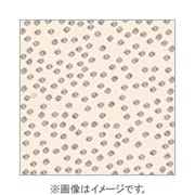 X696 [X-PROシリーズ ソフト系フィルター ソフトウォーム 500653]