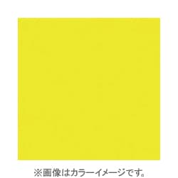 X001 [X-PROシリーズ 全面カラーフィルター イエロー 500097]