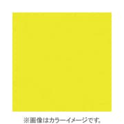 X001 [X-PROシリーズ 全面カラーフィルター イエロー 500097]