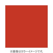 X003 [X-PROシリーズ 全面カラーフィルター レッド 500110]