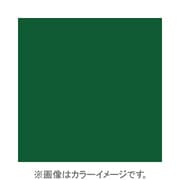 X004 [X-PROシリーズ 全面カラーフィルター グリーン 500127]