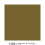 X005 [X-PROシリーズ 全面カラーフィルター セピア 500134]