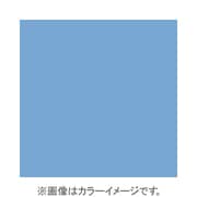 X022 [X-PROシリーズ 全面カラーフィルター ブルー80C 500172]
