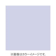 X024 [X-PROシリーズ 全面カラーフィルター ブルー82B 500196]