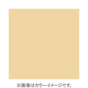 X028 [X-PROシリーズ 全面カラーフィルター ウォーム81C 500233]