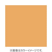 X029 [X-PROシリーズ 全面カラーフィルター オレンジ85A 500240]