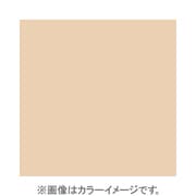 X035 [X-PROシリーズ 全面カラーフィルター ウォーム81D 500271]