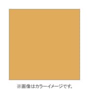 X037 [X-PROシリーズ 全面カラーフィルター ウォーム81EF 500295]