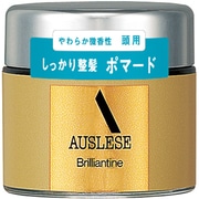 ブリランチンN