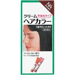 ヨドバシ Com 資生堂 Shiseido 資生堂 クリームヘアカラーn N4 自然な褐色 ヘアカラー 通販 全品無料配達