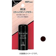 スティックオンヘアカラー 2 自然な褐色 [ヘアカラー]