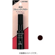 資生堂 ブラッシングヘアカラー 2 自然な褐色 [ヘアカラー]