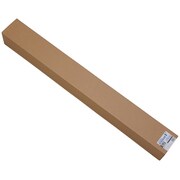 フジブロマイド レンブラント V G2 110.5cm×20M