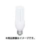 電球形蛍光灯 E26口金 3波長形電球色 ネオボ-ルZ D21形 EFD21EL