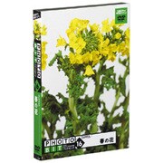 フォトビットvol.16 春の花 [Windows/Mac]