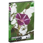 フォトビットvol.17 夏の花 [Windows/Mac]