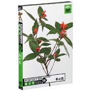 フォトビットvol.19 冬の花 [Windows/Mac]