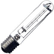 スターライト用ランプ 500W 100V用