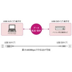 USBケーブル（A-B） 1.5m RP-CDUAB15