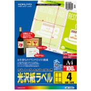 カラーLBP&PPC用光沢紙ラベル A4 4面 100枚 LBP-G1904