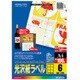 カラーLBP＆PPC用 光沢紙ラベル A4 6面 100枚 LBP-G1906