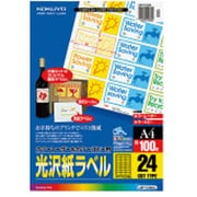 カラーLBP&PPC用光沢紙ラベル A4 24面 31×62 100枚 LBP-G1924
