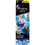 プロ・フィッツ アイスバッグ レギュラー 容量 約1350mL