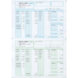 給与・賞与明細書 明細型 100枚入 SR2101