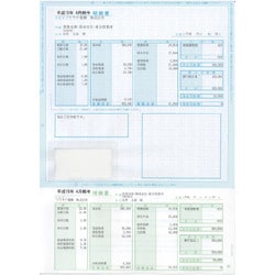 給与・賞与明細書 封筒型 100枚入 SR2111