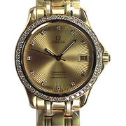 Seamaster（シーマスター）自動巻き メンズ 並行輸入品 2105.15