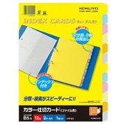 カラー仕切カード ファイル用 B5縦 2穴 6色 12山＋扉紙1組 シキ-81N