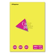色上質紙 中厚口 黄 B4 100枚 ナ-2205