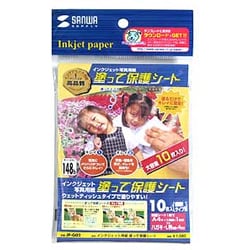 インクジェット写真用紙保護剤 塗って保護シート ウェットティッシュタイプ 10包入 JP-G02