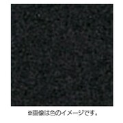 2L　ブラック 6*6マット45 2L ブラック12